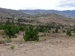 شبه بیابانی از ویلا د لیوا
