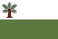 پرچم ویدناوا