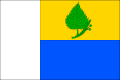 پرچم هوستی