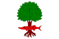 پرچم لیتوستروو