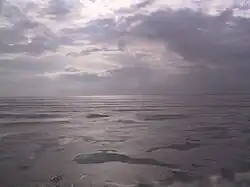 Coast with sandy dunes