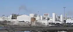 کارخانه فرآوری تخم مرغ مایکل فودز در ویکفیلد