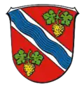 نشان دیزنباخ