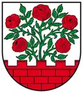نشان گروس روزنبورگ