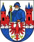 نشان رینو