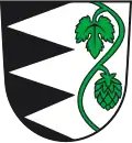 نشان رورباخ