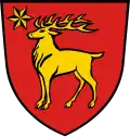 نشان زیگمارینگن