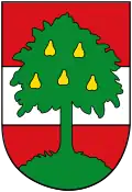 نشان Dornbirn