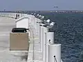 بندر شهر کورپوس کریستی.
