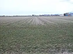 An agricultural field in West Weber, مارس ۲۰۱۱