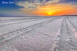 وایت ران