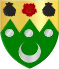 نشان ووملز