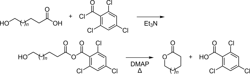 یاماگوچی استری