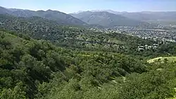پارک جنگلی یاسوج