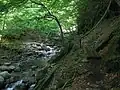 مسیر کوهپیمایی در کوه اُومورُو ( 大室山). برای بهتر دیدن عکس بر روی آن کلیک کنید.