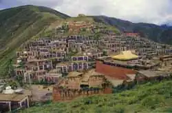 Dondrub Ling monastery in the town of Gyêgu, Yulshul County