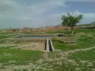 برکه و درخت کهن‌سال روستا