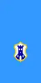 پرچم Pazin
