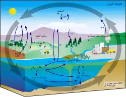 Diagram of the carbon cycle