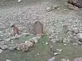 گورستان تاریخی مجارشین