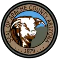 نشان رسمی Apache County