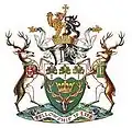 نشان London Borough of Waltham Forest