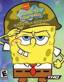 Box art