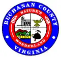 نشان رسمی Buchanan County