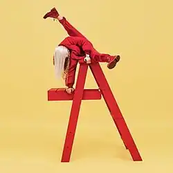 A girl is seen on ladder.