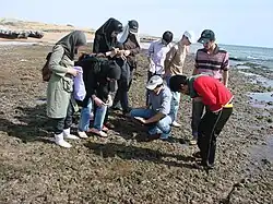 متن جایگزین
