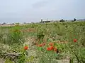 تاکستان دستجرد