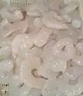 میگوی پاک‌شده و آمادهٔ پخت