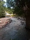 گنبر چایی