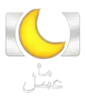 نشان‌واره ماه عسل ۱۳۹۲، ۱۳۹۳ و ۱۳۹۴