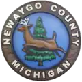 نشان رسمی Newaygo County