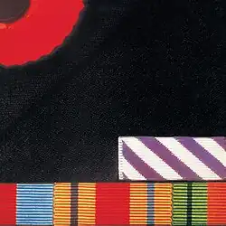 A close up of the breast a dark jacket, with one quarter of a remembrance poppy on the top left corner, and a selection of British military service medal ribbons along the bottom edge