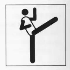 Taekwondo