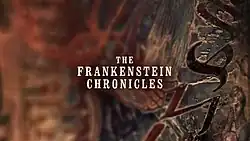 Series title