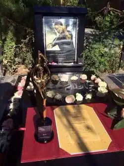 نمای از سنگ قبر نیما وارسته