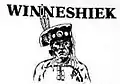 پرچم Winneshiek County