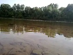 زرینه رود(تفرجگاه قوپی)