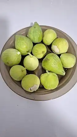 انجیر کلاله گلستان شهرستان کلاله
