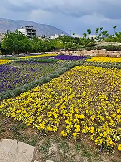 باغ گل‌های شیراز