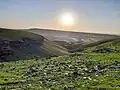 تپه‌ها و طبیعت زیبای صالح شهر