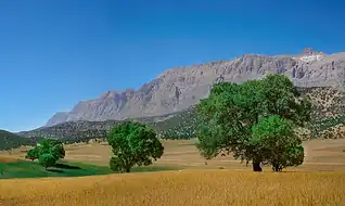 محوطه دشتک