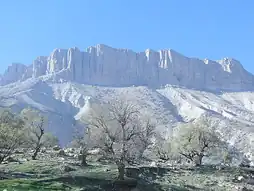مانشت