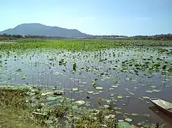 Sakata Lagoon