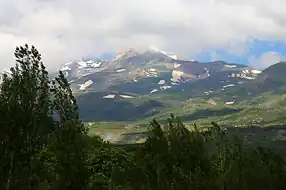 بز سینا