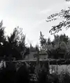نئوت مردخای، ۱۹۶۳