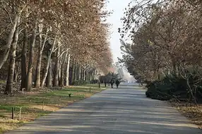 باغ گیاهشناسی ملی ایران